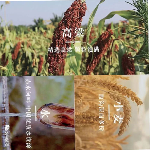 醬酒行業大揭秘！
