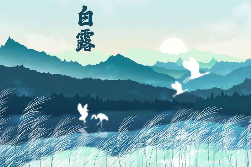 【白露節(jié)氣】露從今夜白，秋風(fēng)至此涼